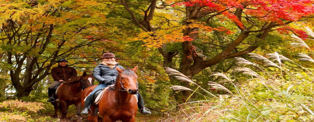 星のや軽井沢「脱デジタル滞在」紹介 ～馬と触れ合う～